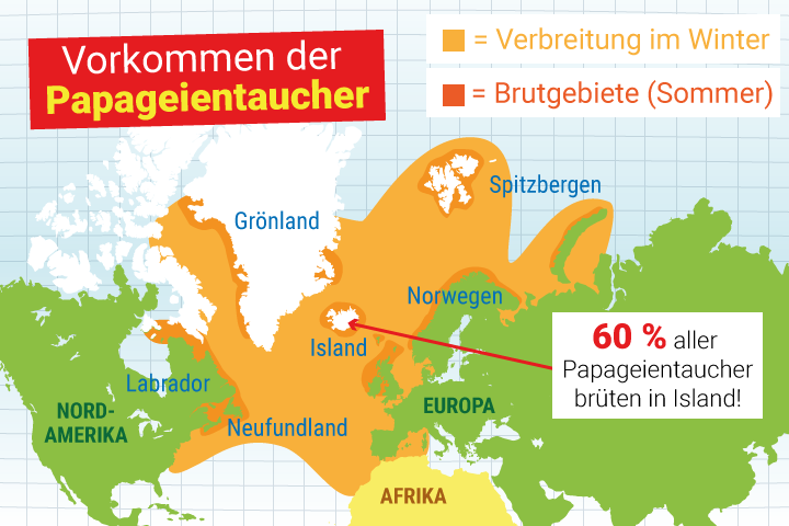 Papageientaucher Verbreitung und Vorkommen