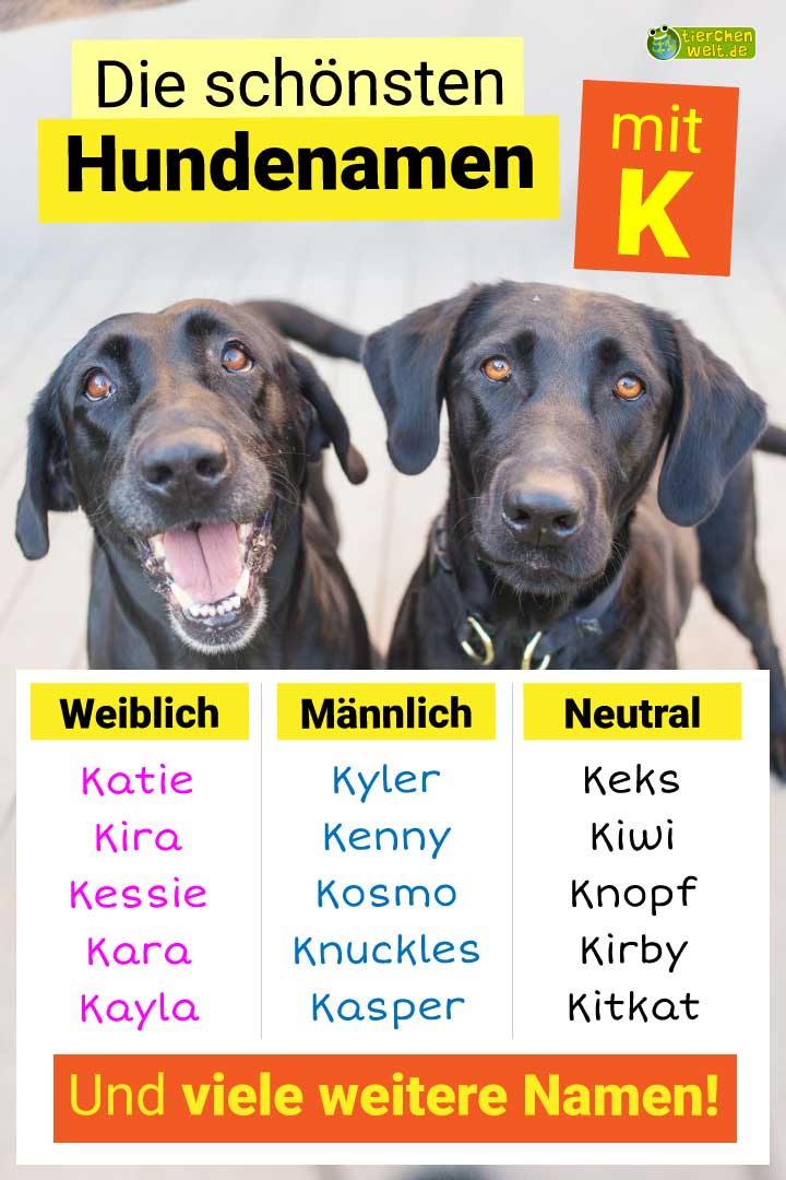 Die schönsten Hundenamen mit Buchstabe K