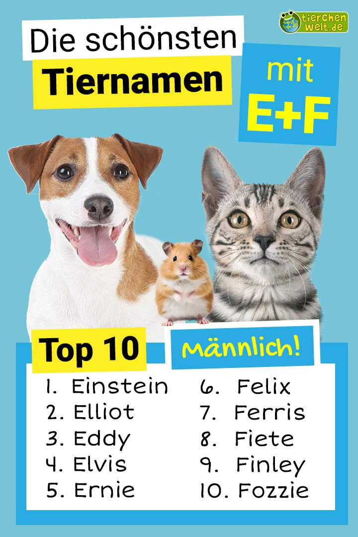 Die schönsten männlichen Tiernamen mit E und F