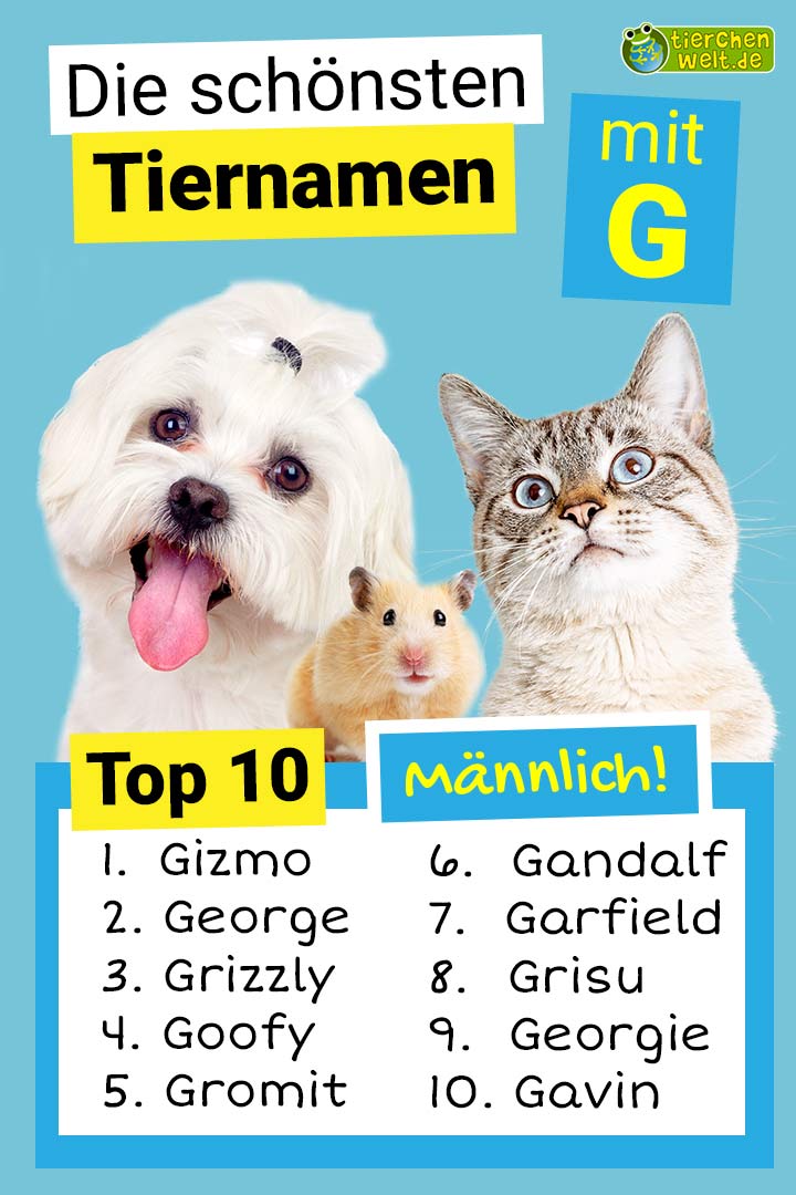 Die schönsten männlichen Tiernamen mit G