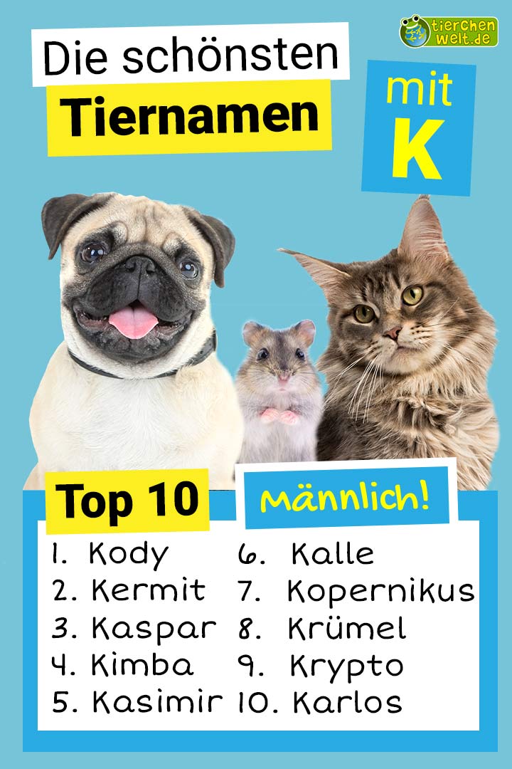 Die schönsten männlichen Tiernamen mit K