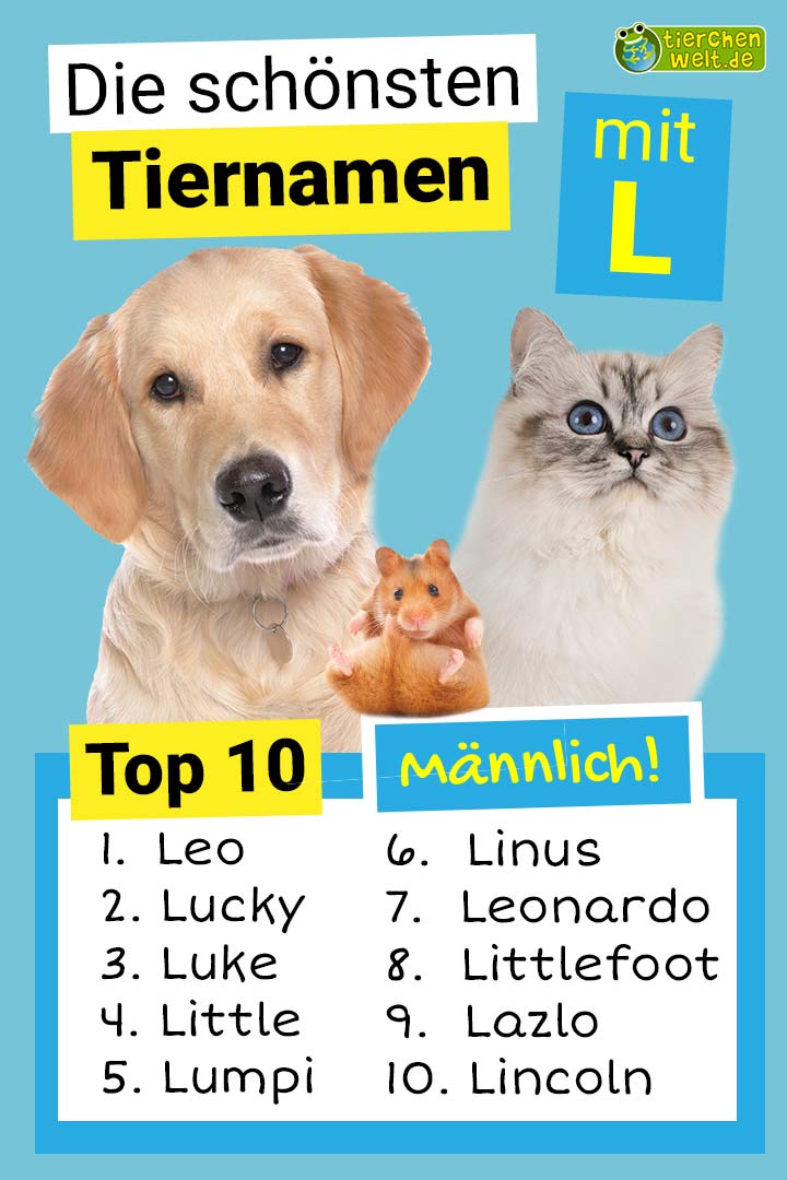 Die schönsten männlichen Tiernamen mit L