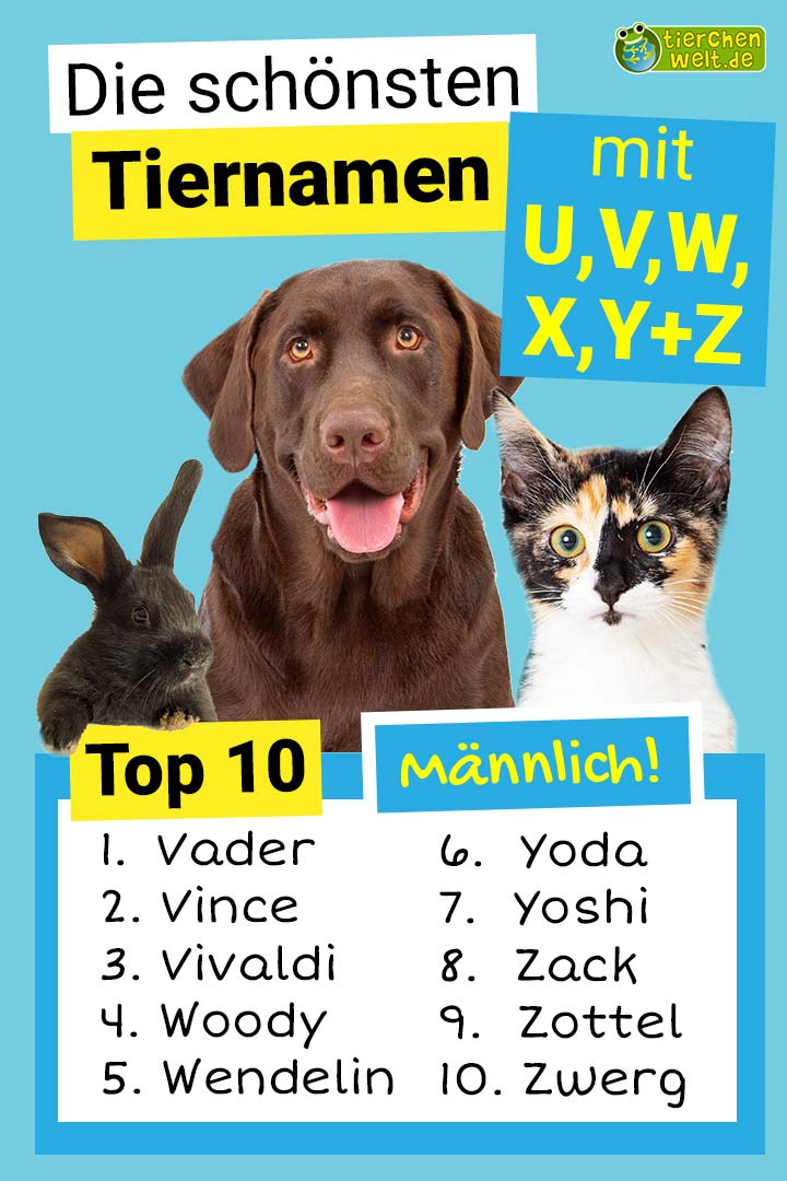 Die schönsten männlichen Tiernamen mit U, V, W, X, Y und Z