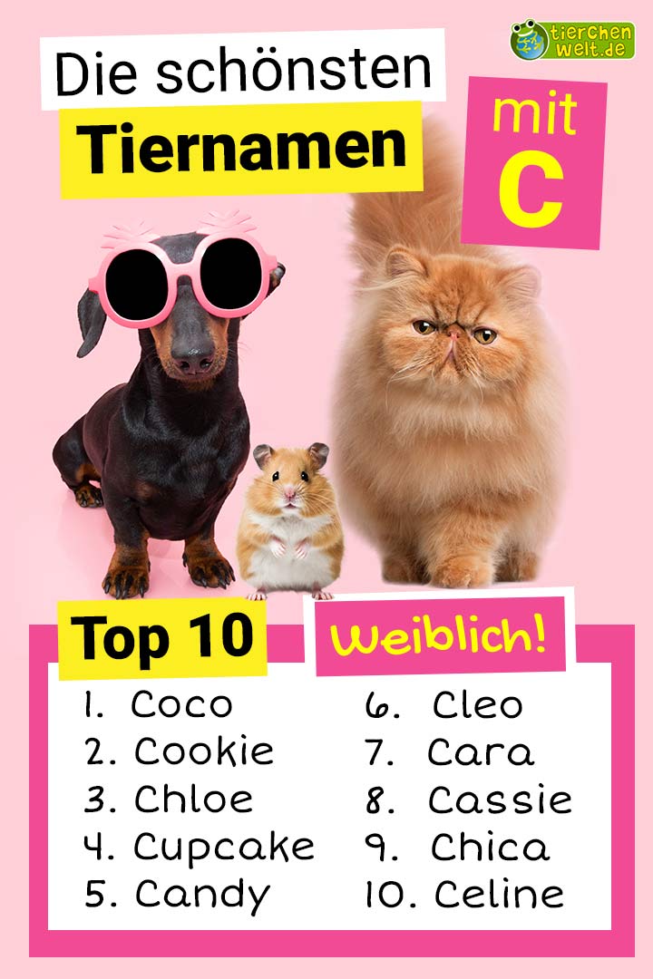 Die schönsten weiblichen Tiernamen mit C