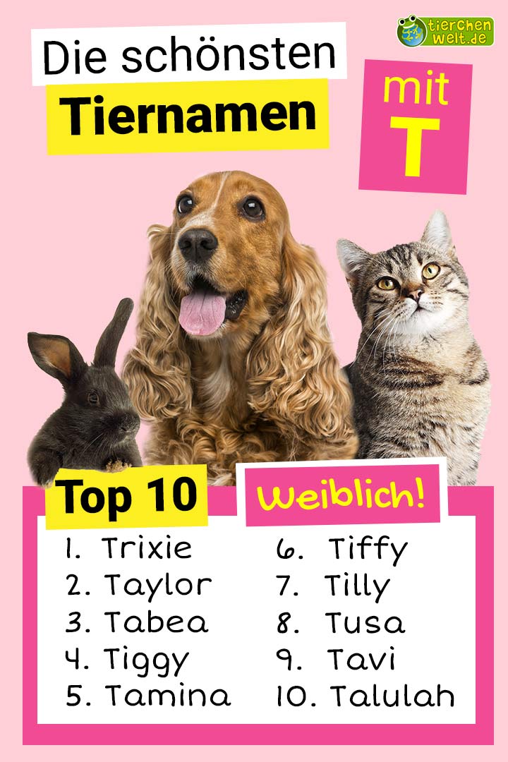 Die schönsten weiblichen Tiernamen mit T