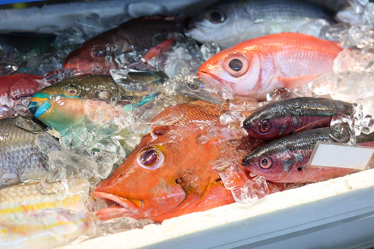 Lippfisch