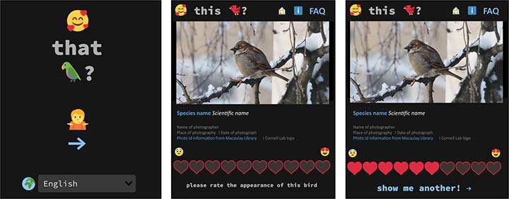 Iratebirds-App