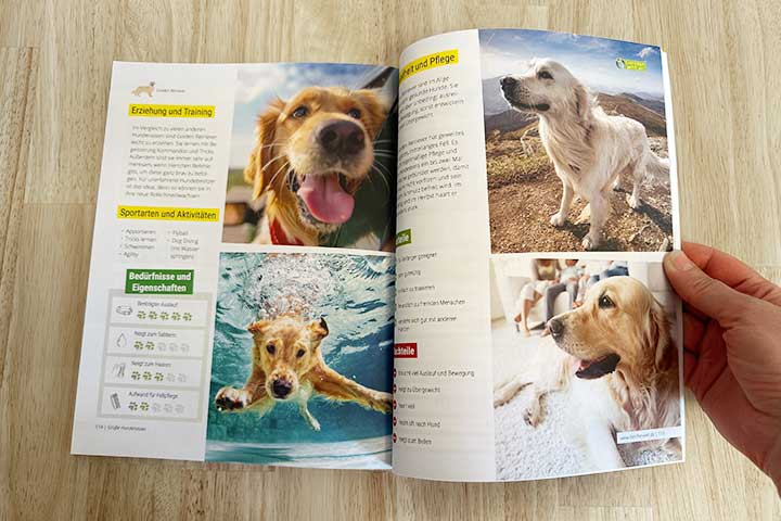 Hunderassen - Das große Buch für Kinder