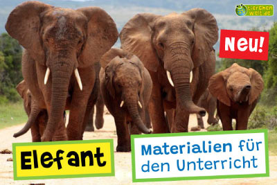 Elefant