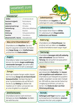 Chamäleon Lesetext
