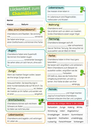 Chamäleon Lückentext