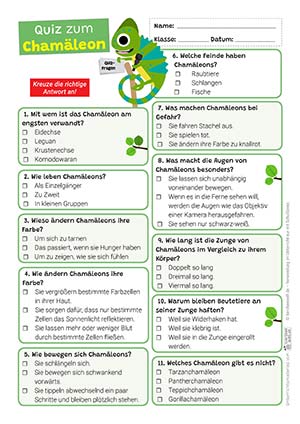 Chamäleon Quiz