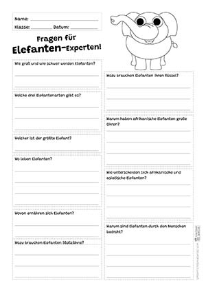 Elefant Fragen