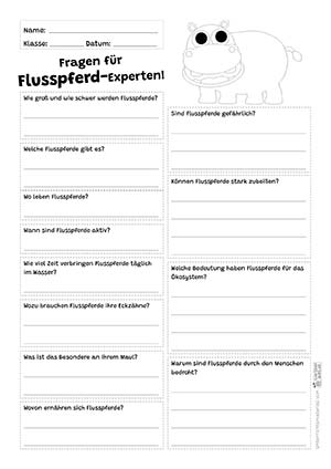 Flusspferd Fragen