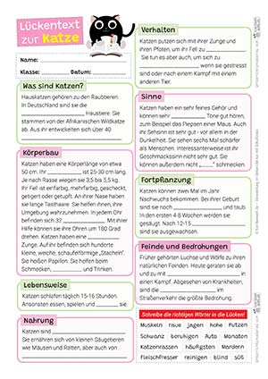 Katze Lückentext
