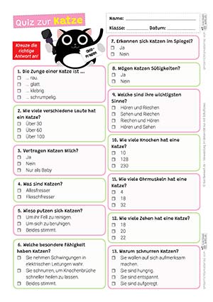 Katze Quiz